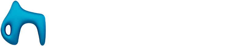 dotNetworks Logo light 01